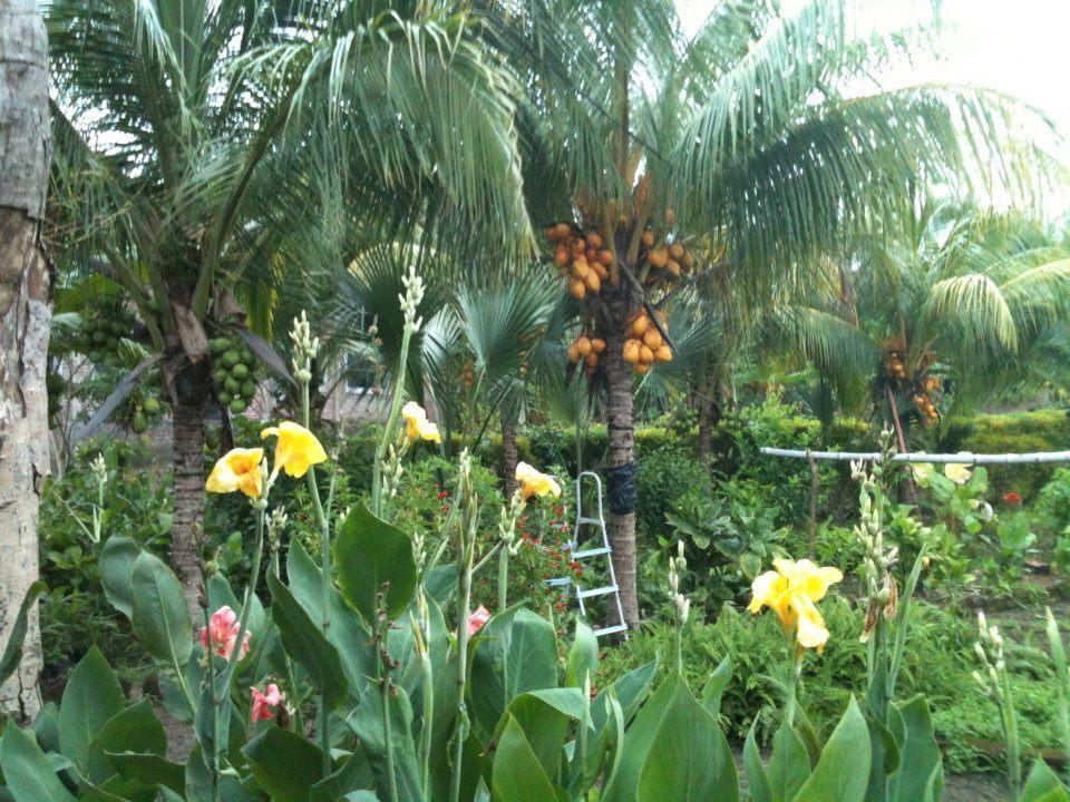 Altagracia El Mirador Ecologico, Ometepe酒店 外观 照片
